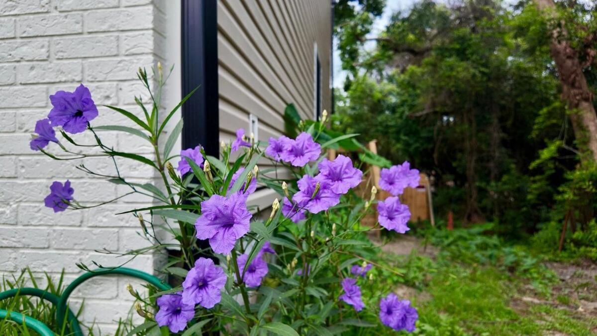 Cozy Townhome Retreat With King Bed Near I-10, Capitol, Fsu & Famu تلاهاسي المظهر الخارجي الصورة